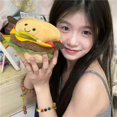 新罗宾汉